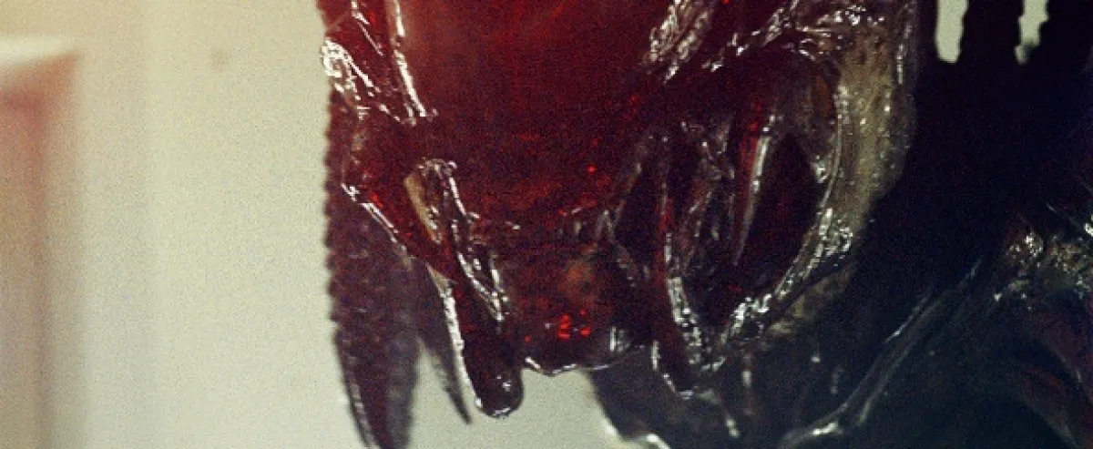 Votrelci vs. Predátor 2 (Aliens vs. Predator - Requiem), 2007 - fotogaléria