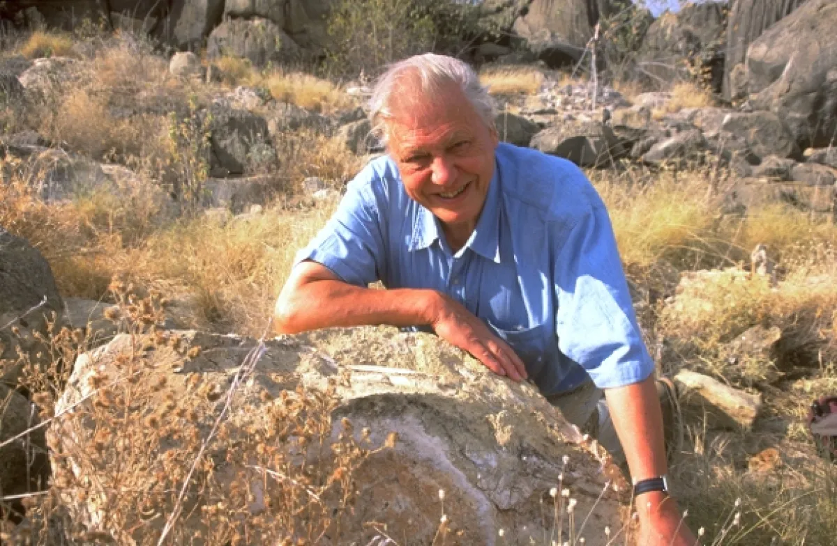David Attenborough: Život savců, 2002 - fotogaléria