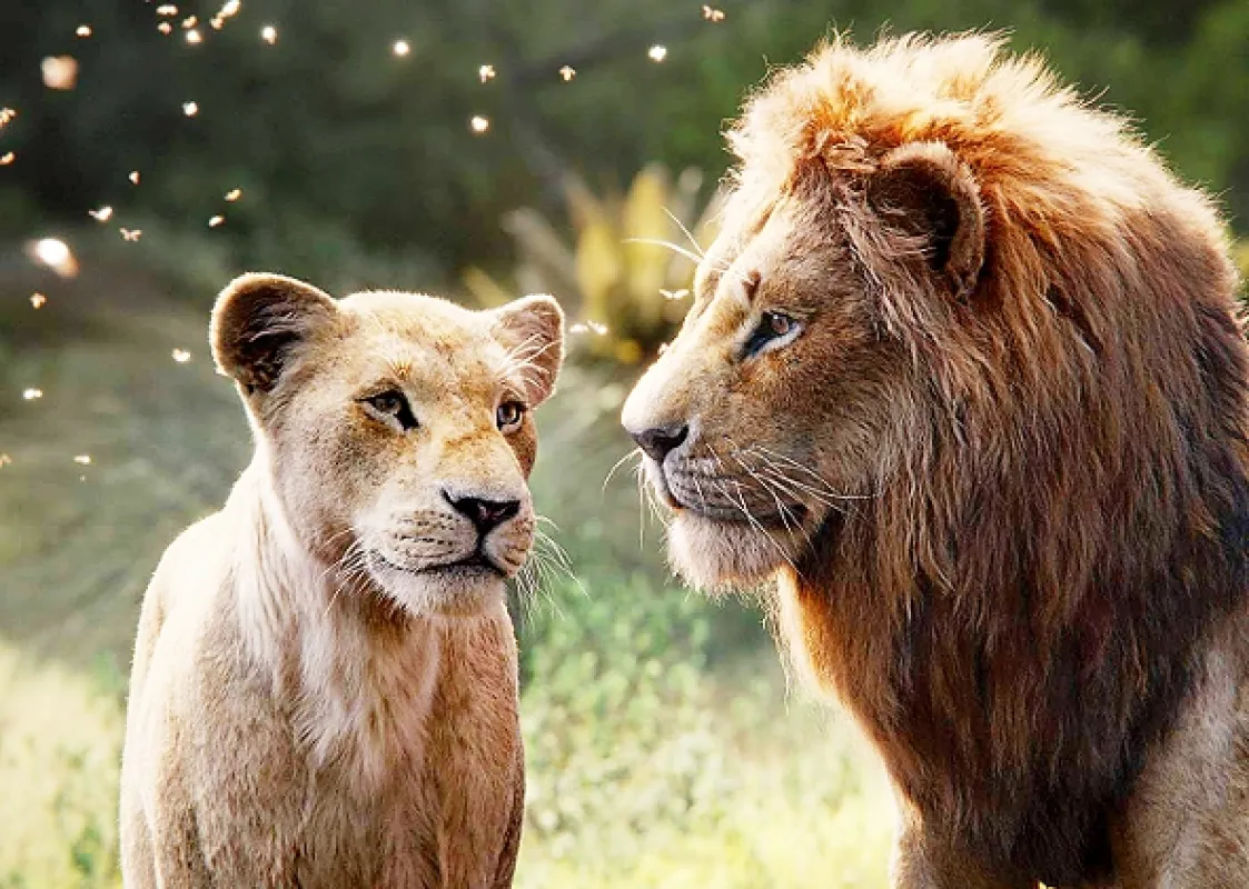 Leví kráľ (The Lion King), 2019 - fotogaléria