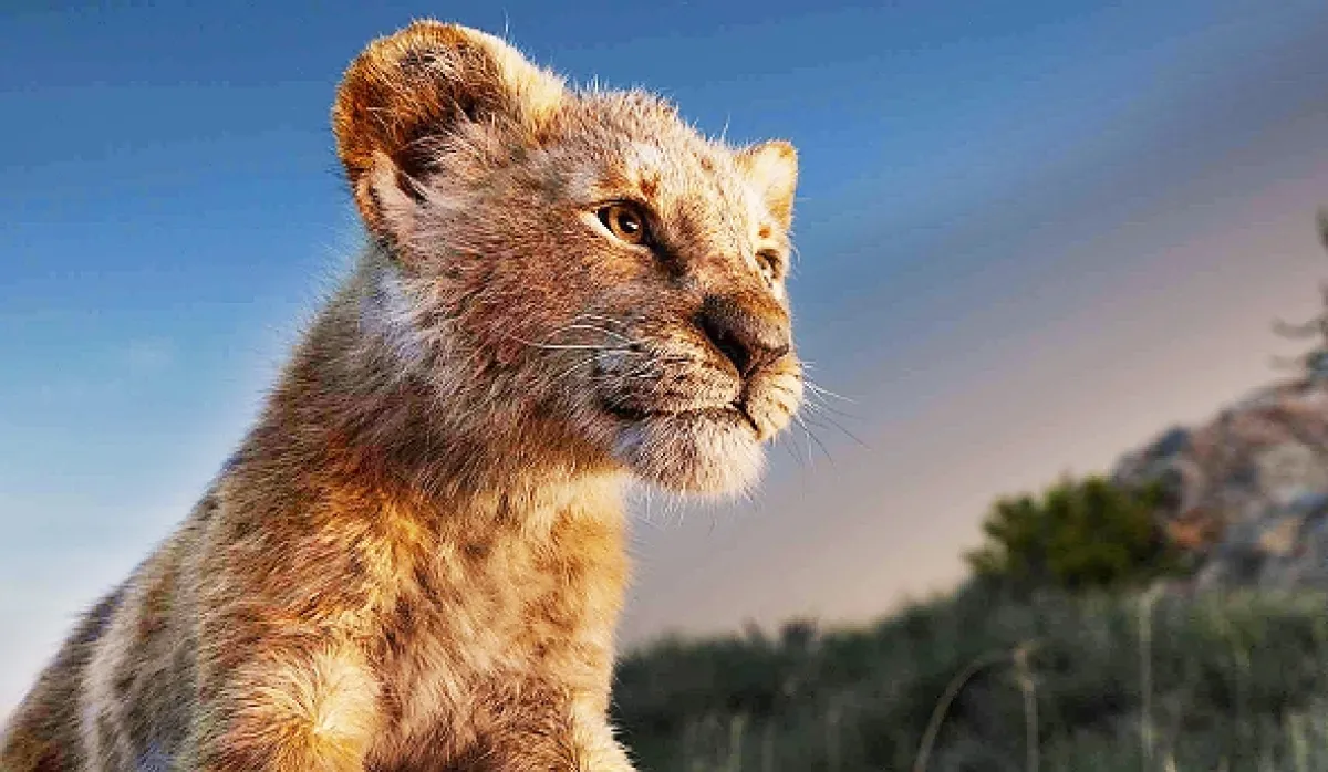 Leví kráľ (The Lion King), 2019 - fotogaléria