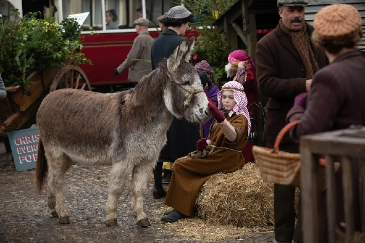 Všechny velké a malé bytosti (All Creatures Great and Small), 2020 - fotogaléria