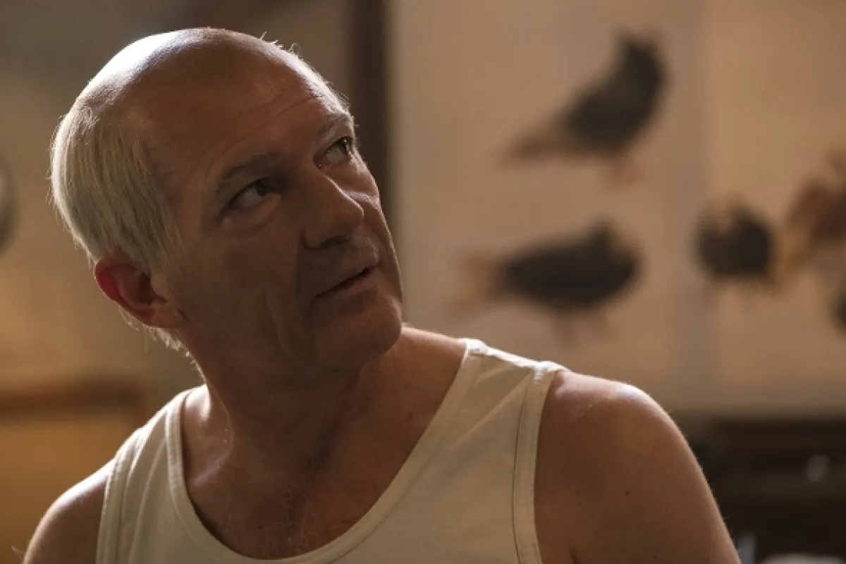 Génius: Pablo Picasso, 2018 - fotogaléria
