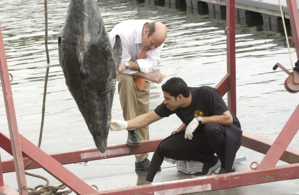 Kriminálka Miami (CSI: Miami IV), 2005 - fotogaléria
