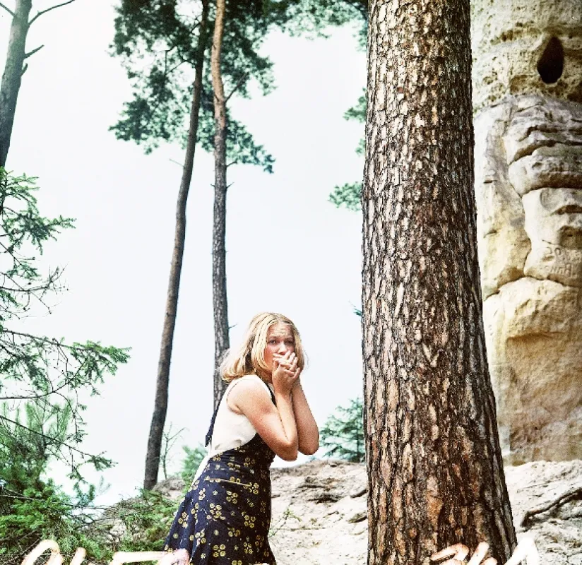Ako dostať otecka do polepšovne (Jak dostat tatínka do polepšovny), 1978 - fotogaléria