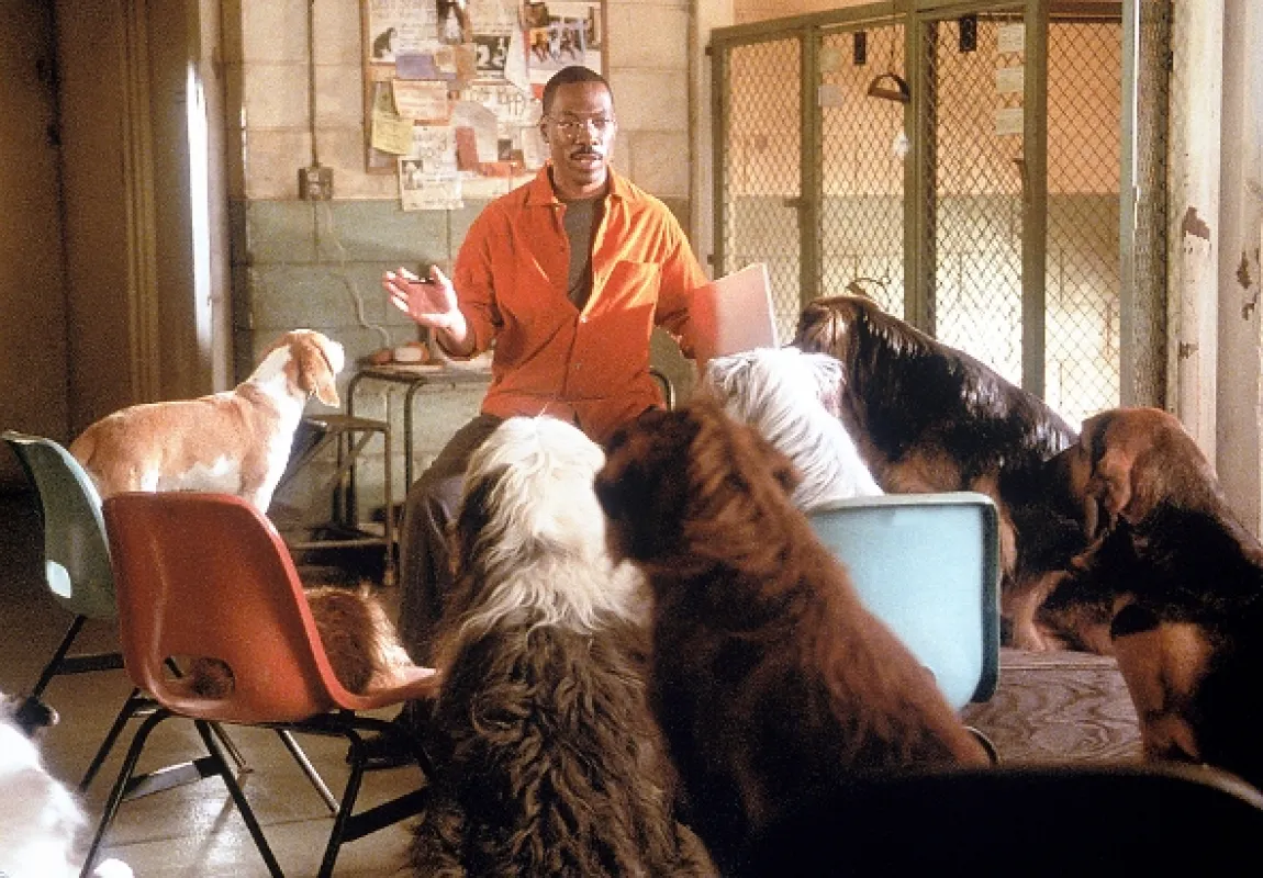 Dr. Dolittle 2, 2001 - fotogaléria