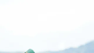 Walter Mitty a jeho tajný život