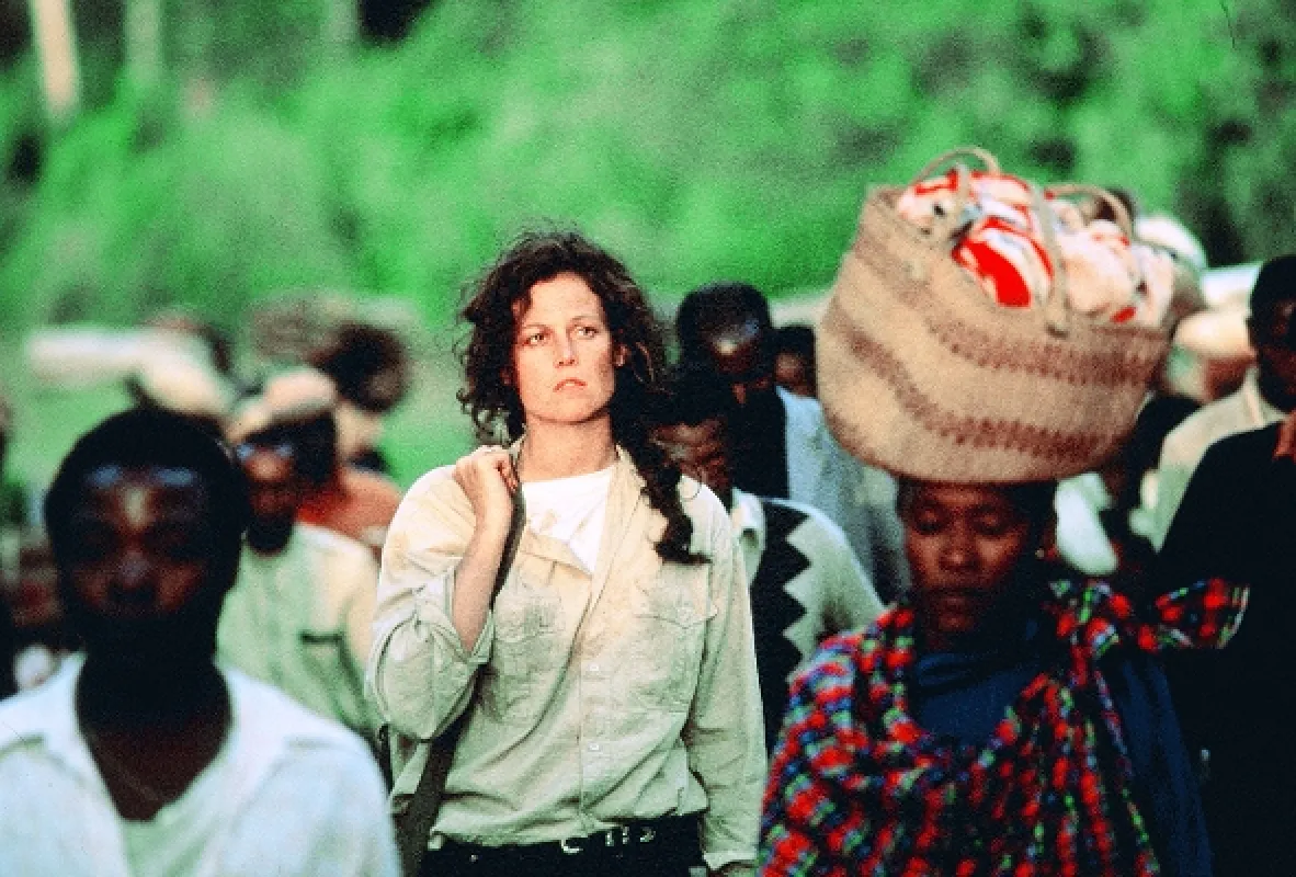 Gorily v mlze (Gorillas In The Mist), 1988 - fotogaléria