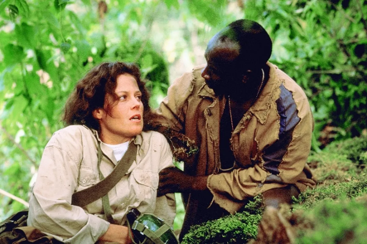 Gorily v mlze (Gorillas In The Mist), 1988 - fotogaléria