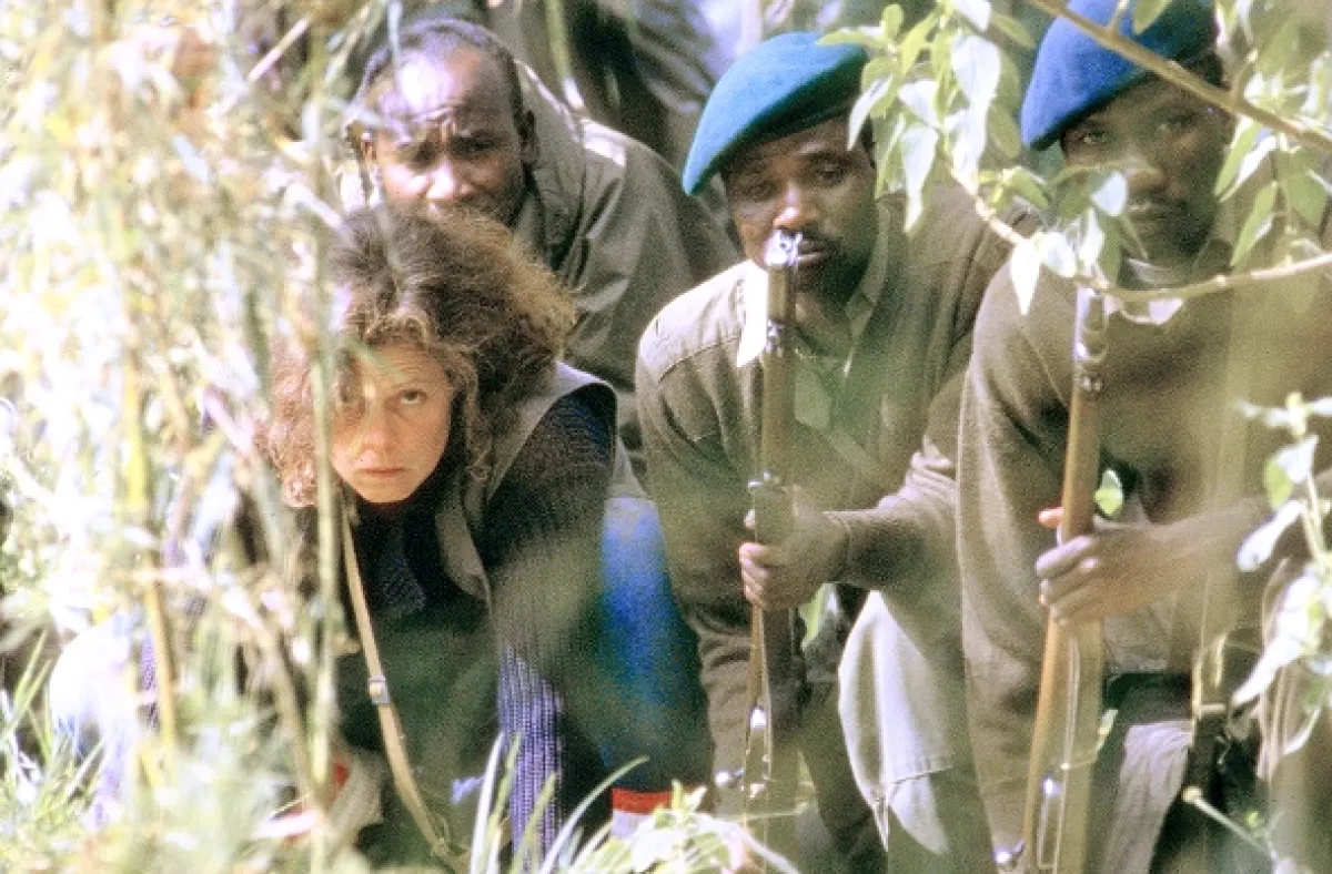 Gorily v mlze (Gorillas In The Mist), 1988 - fotogaléria