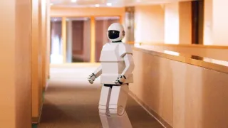 Robot a Frank
