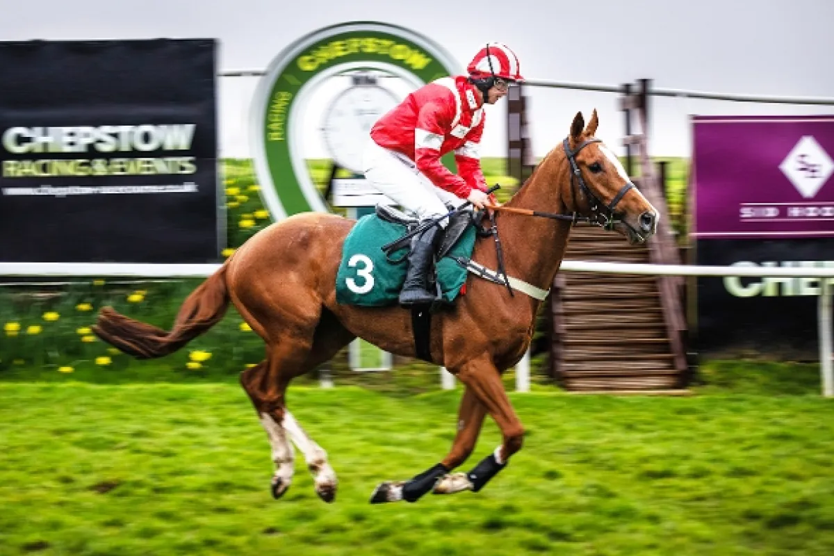 Choď za svojím snom (Dream Horse), 2020 - fotogaléria