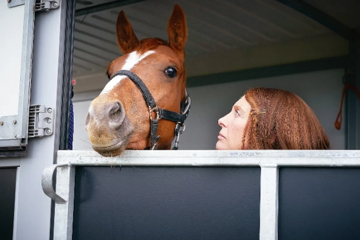 Choď za svojím snom (Dream Horse), 2020 - fotogaléria