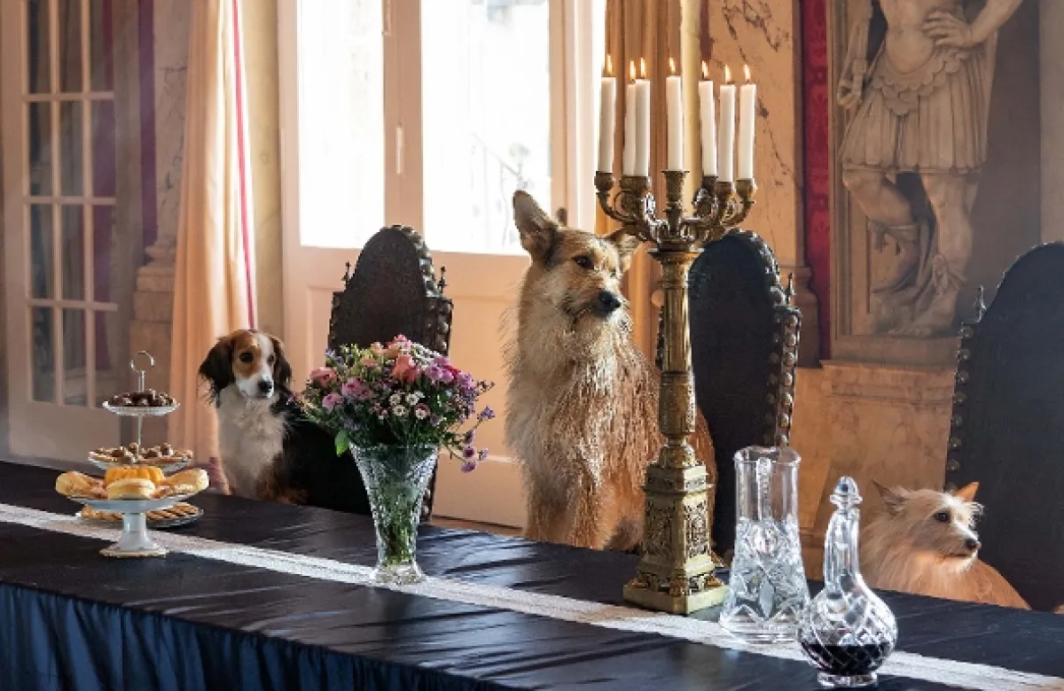 Tri kráľove deti (Die drei Königskinder), 2019 - fotogaléria