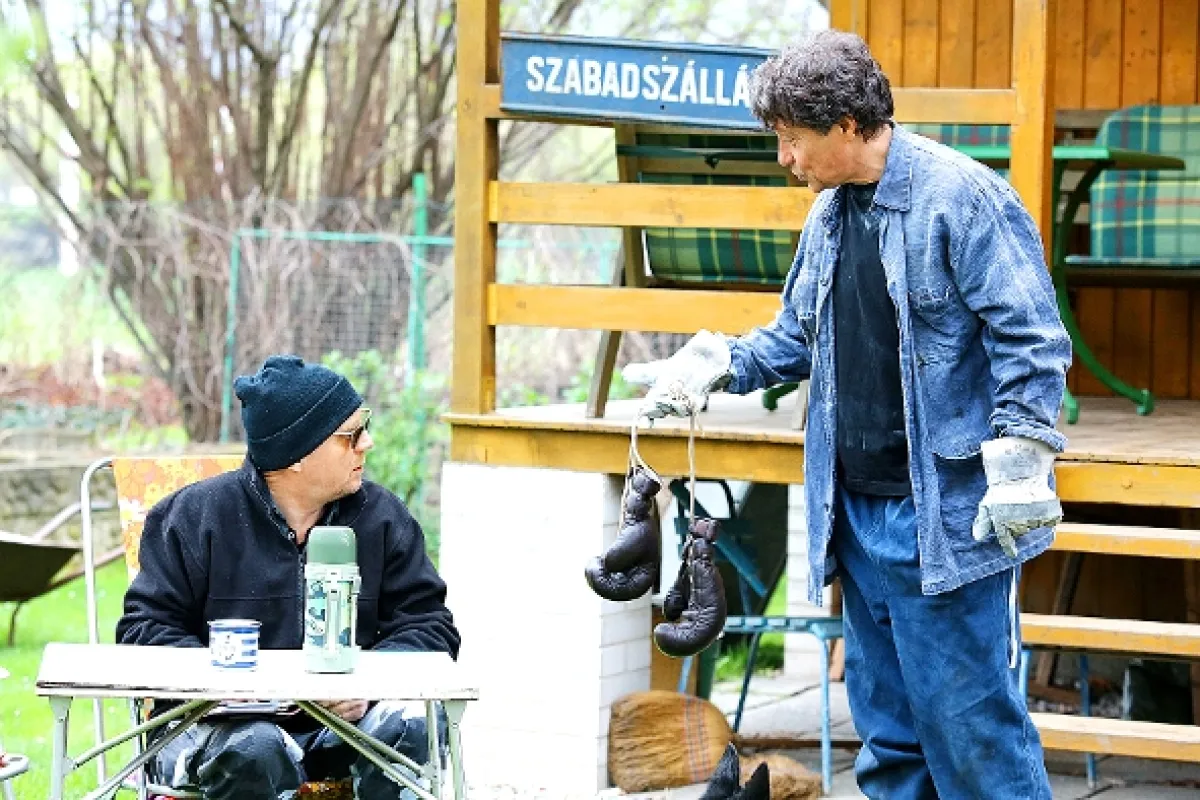 Přístav, 2015 - fotogaléria