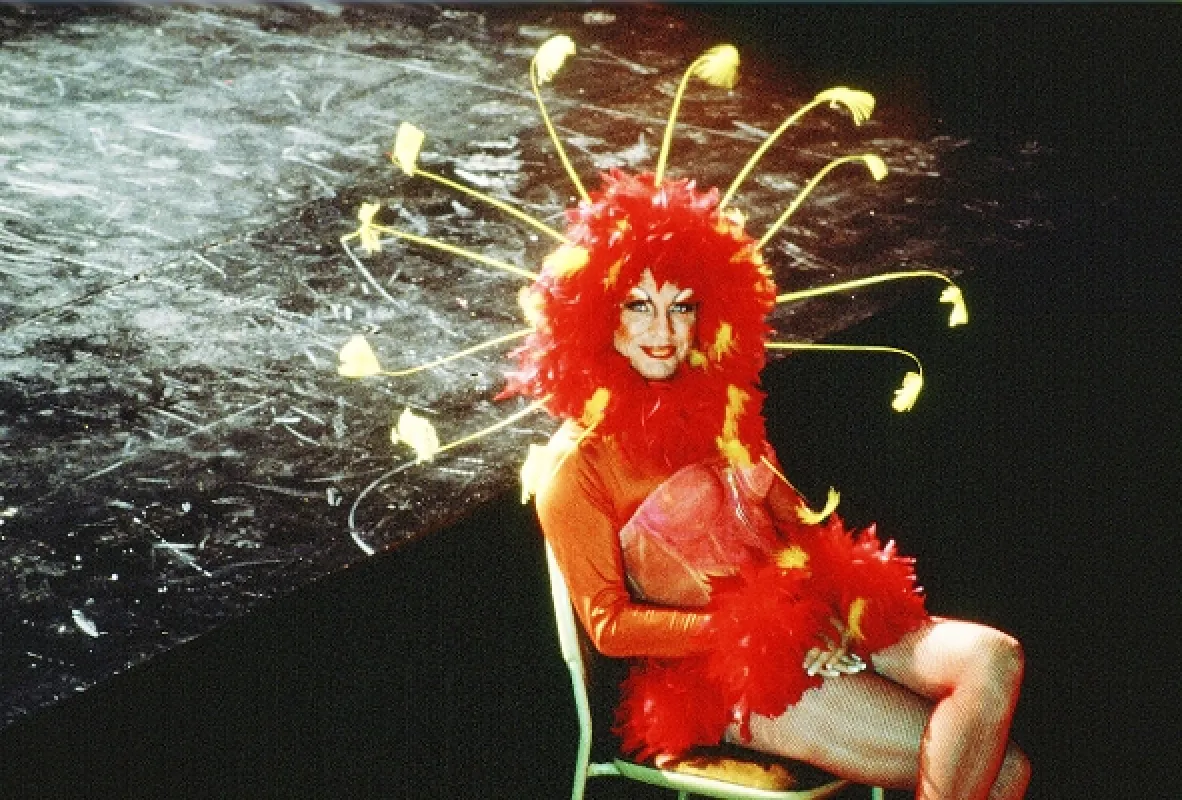 Dobrodružství Priscilly, královny pouště (The Adventures Of Priscilla, Queen Of The Desert), 1994 - fotogaléria