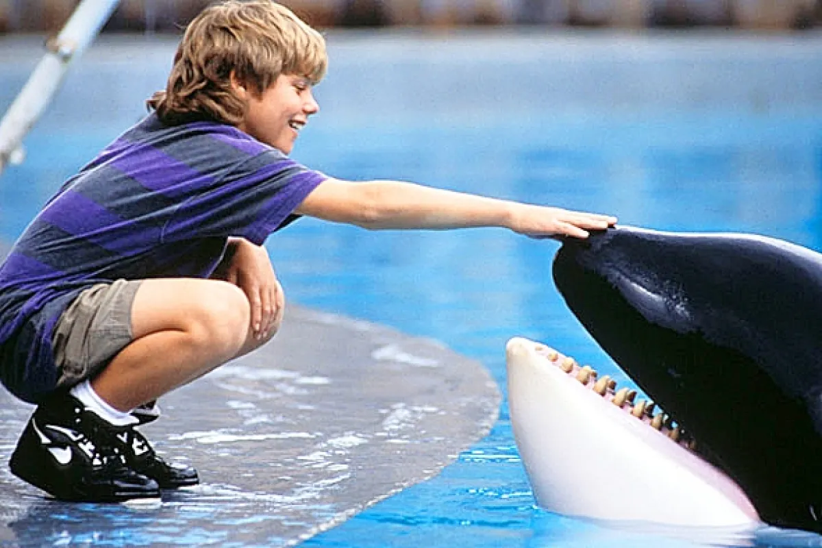 Zachraňte Willyho (Free Willy), 1993 - fotogaléria