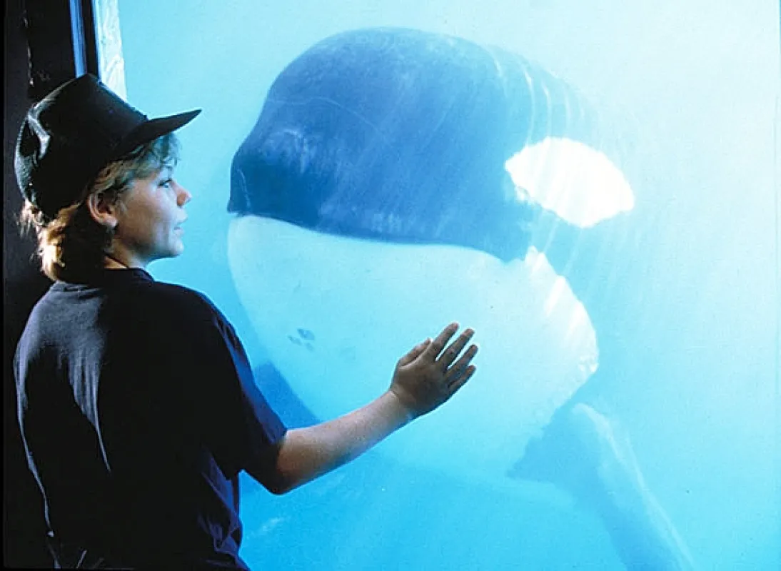 Zachraňte Willyho (Free Willy), 1993 - fotogaléria
