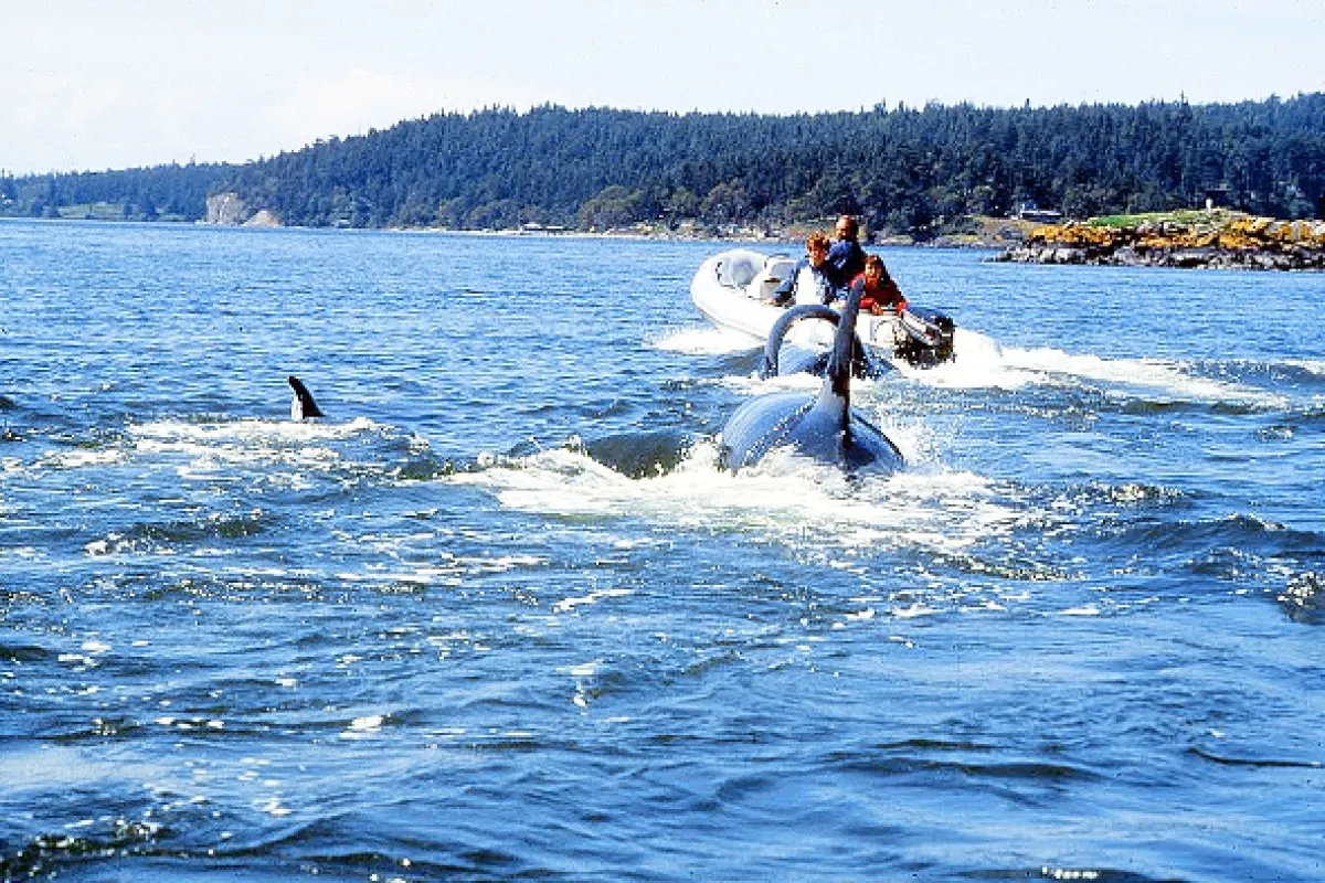 Zachraňte Willyho (Free Willy), 1993 - fotogaléria