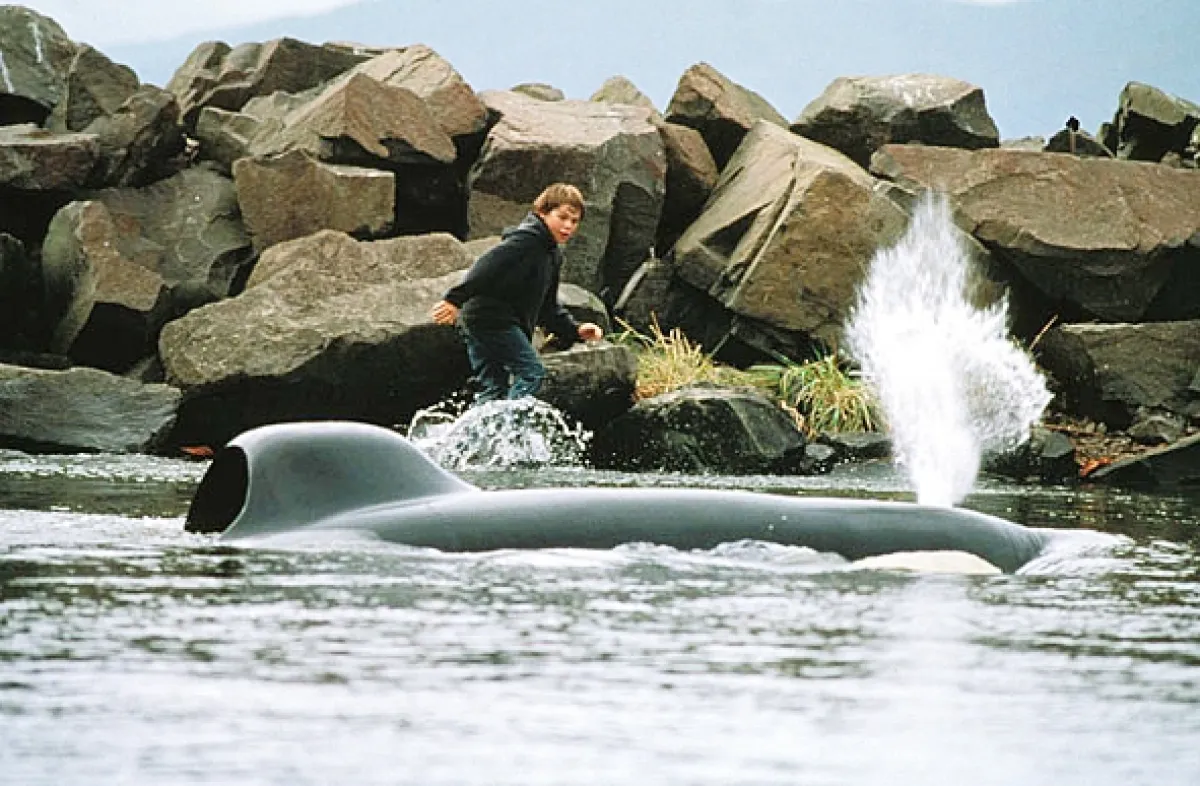 Zachraňte Willyho (Free Willy), 1993 - fotogaléria