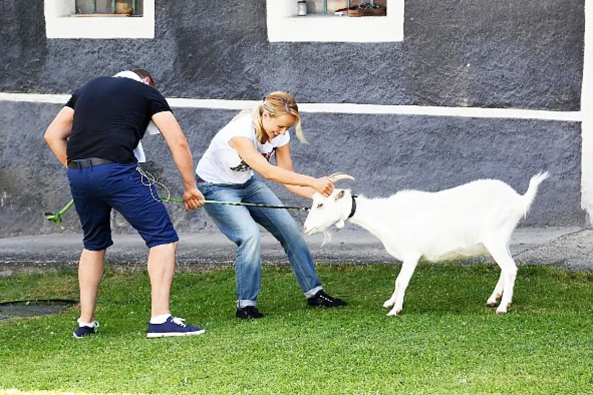 Svatby v Benátkách - fotogaléria