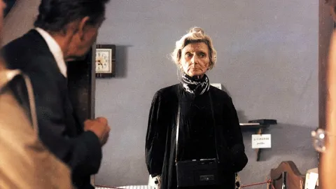 Jára Cimrman ležící, spící