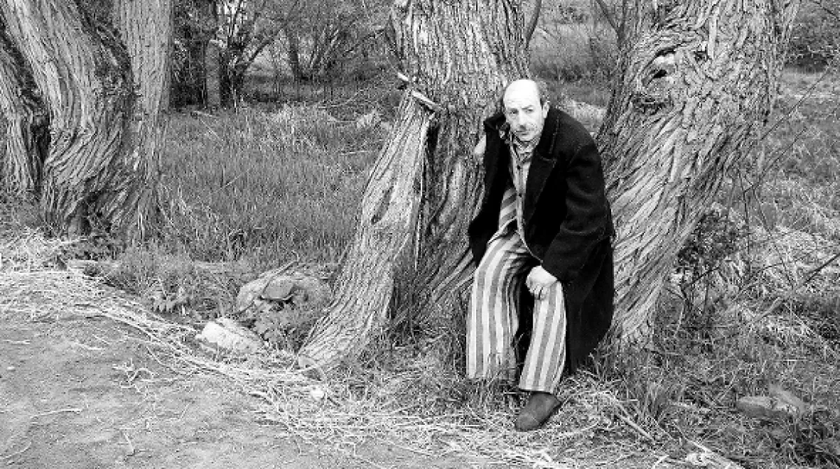 Krajina ve stínu, 2020 - fotogaléria