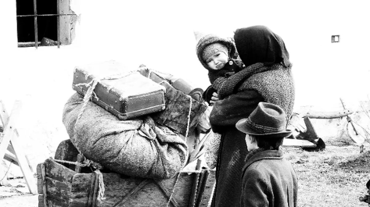Krajina ve stínu, 2020 - fotogaléria