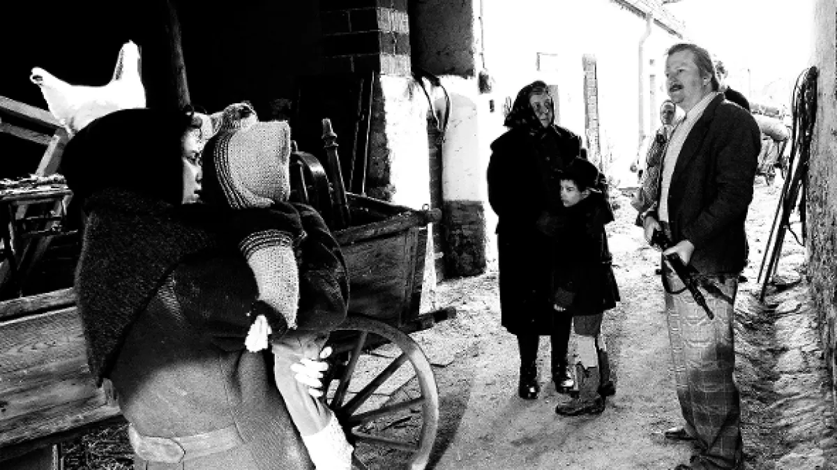 Krajina ve stínu, 2020 - fotogaléria