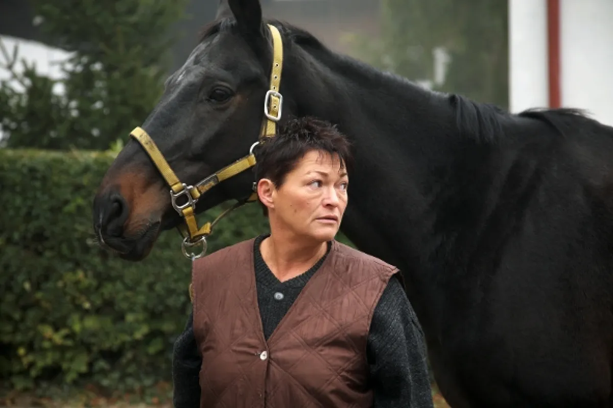 Znamenie koňa, 2009 - fotogaléria