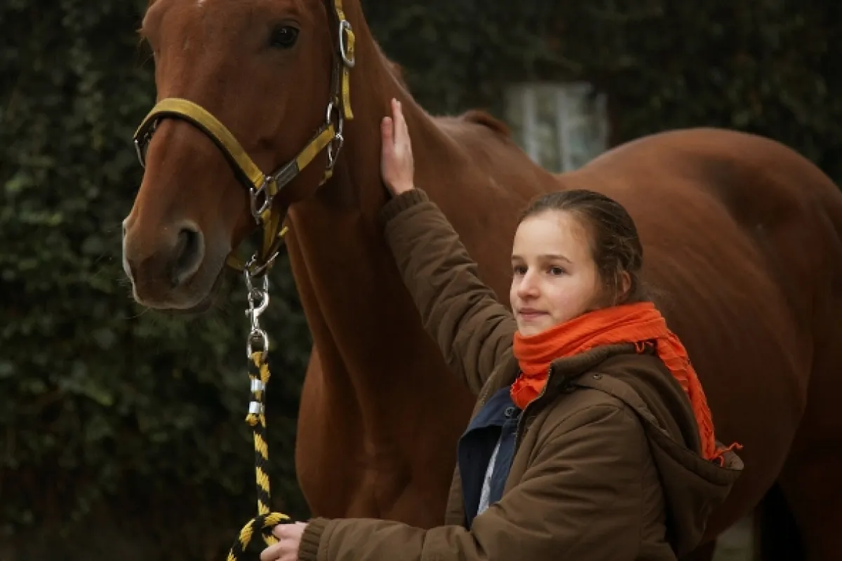 Znamenie koňa, 2009 - fotogaléria