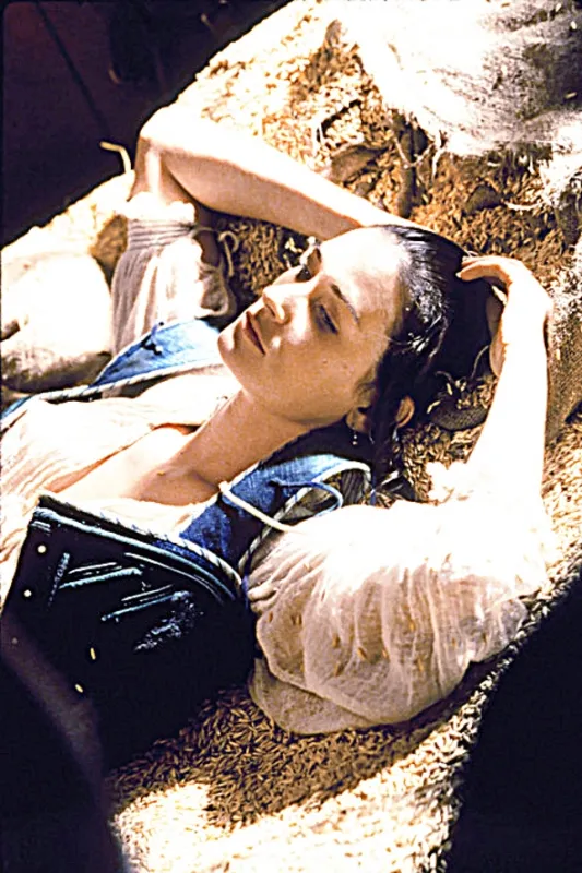 Šarlatové písmeno (The Scarlet Letter), 1995 - fotogaléria