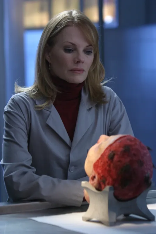 Kriminálka Las Vegas (CSI V), 2004 - fotogaléria