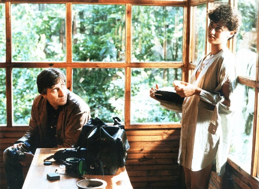 Dobré světlo, 1986 - fotogaléria