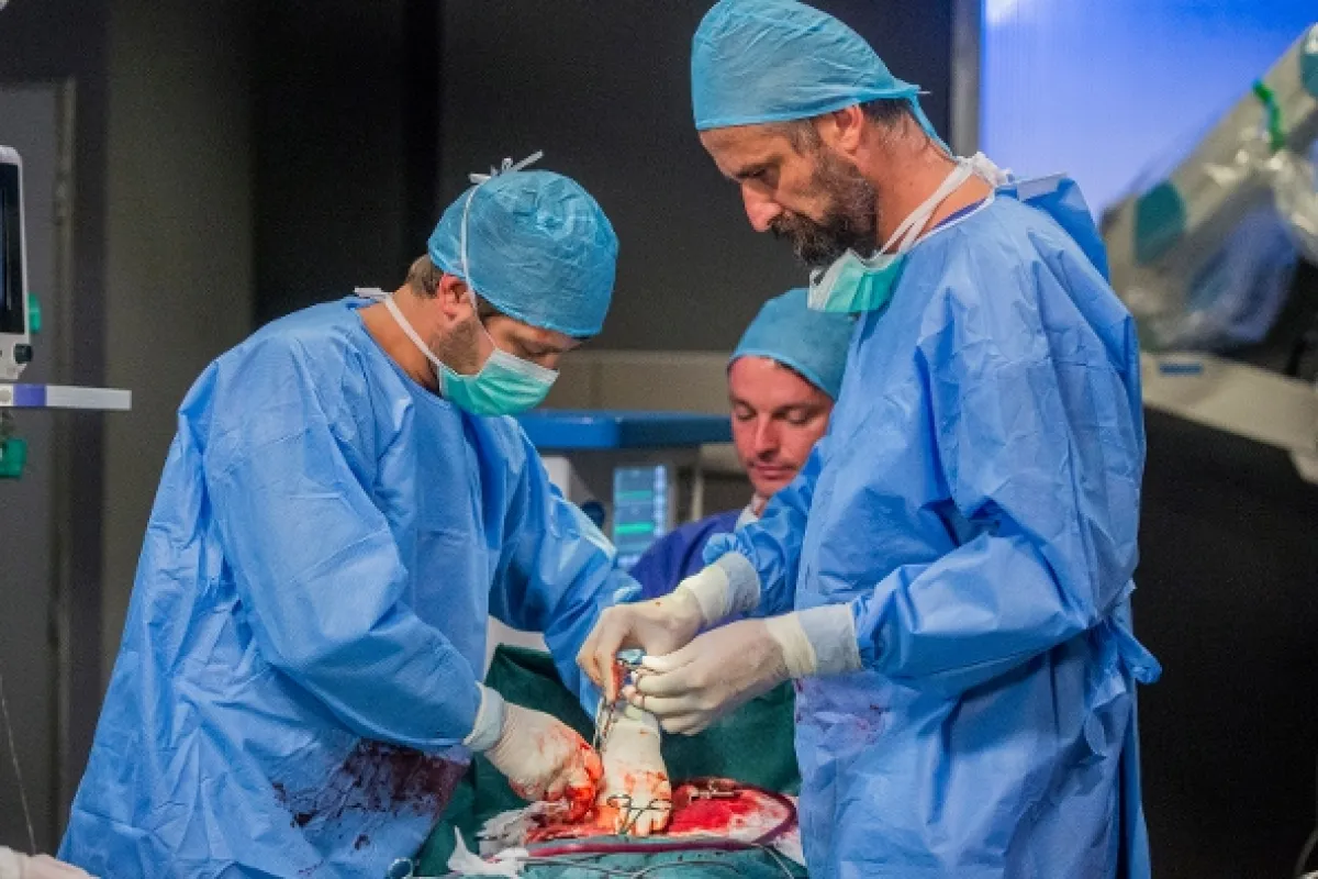 Modrý kód, 2019 - fotogaléria