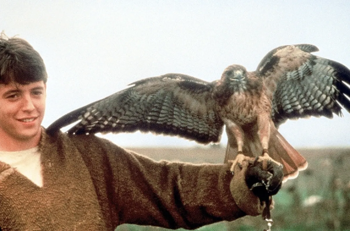 Jestřábí žena (Ladyhawke), 1985 - fotogaléria