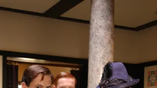 Sága rodu Forsytů (9/13)