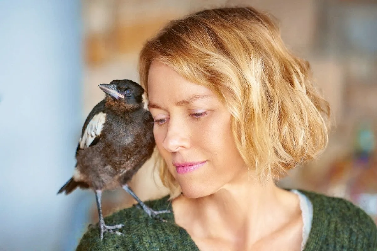 Tučniak Bloom (Penguin Bloom), 2020 - fotogaléria