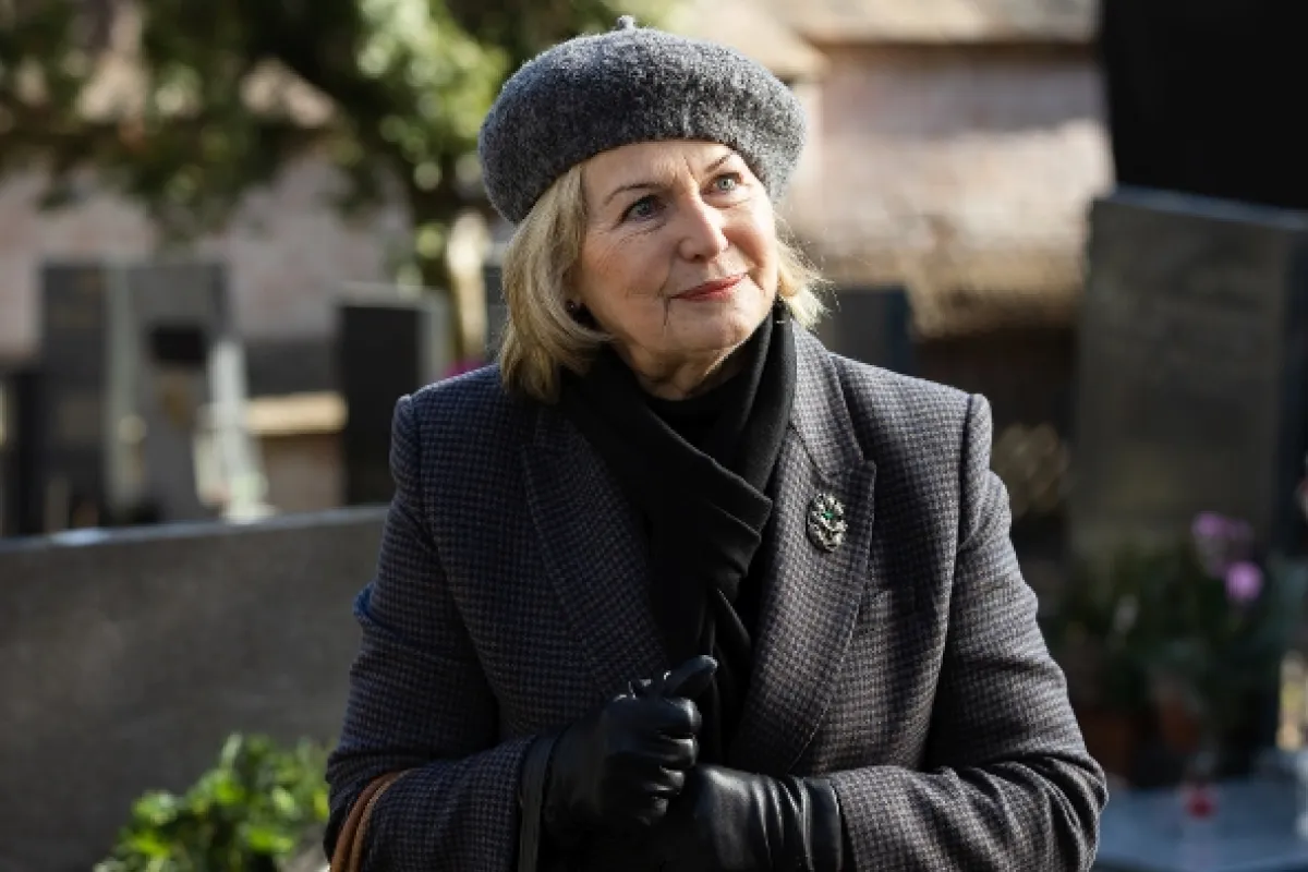 Ledviny bez viny, 2022 - fotogaléria