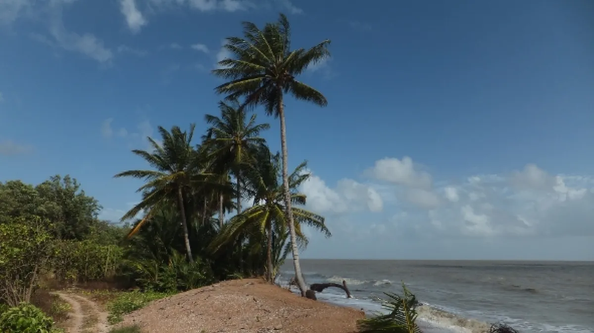 Neznámá Guyana (Guyana), 2021 - fotogaléria