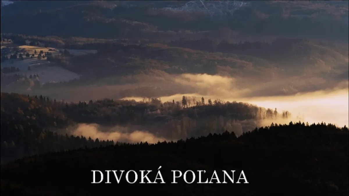 Divoká Poľana - fotogaléria