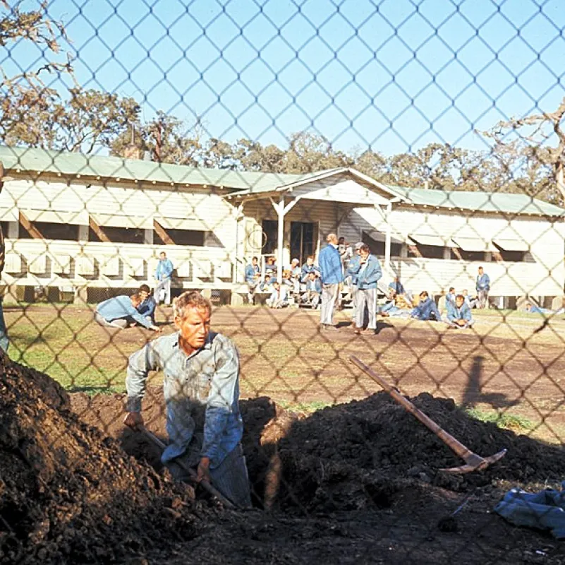 Frajer Luke (Cool Hand Luke), 1967 - fotogaléria