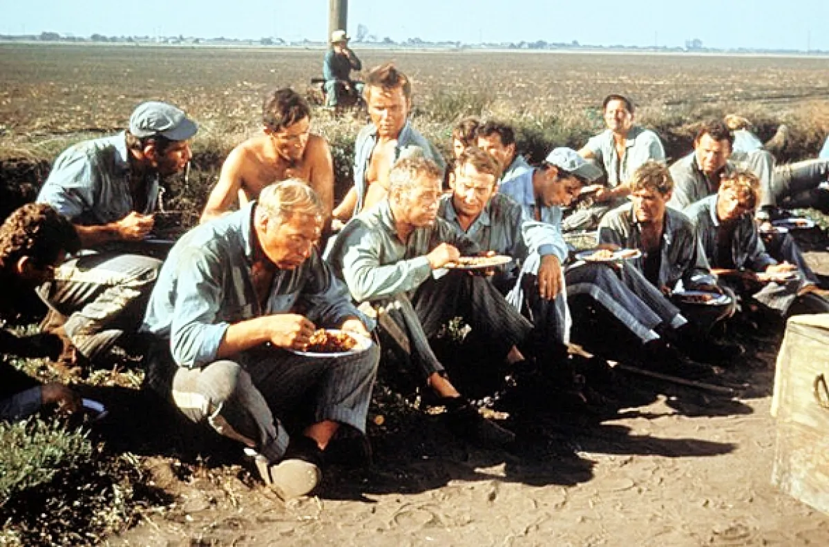 Frajer Luke (Cool Hand Luke), 1967 - fotogaléria