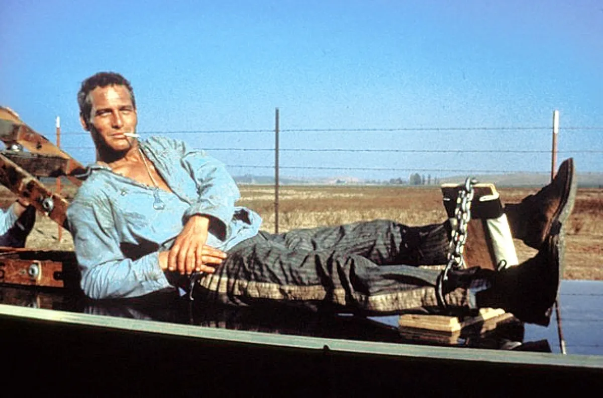 Frajer Luke (Cool Hand Luke), 1967 - fotogaléria