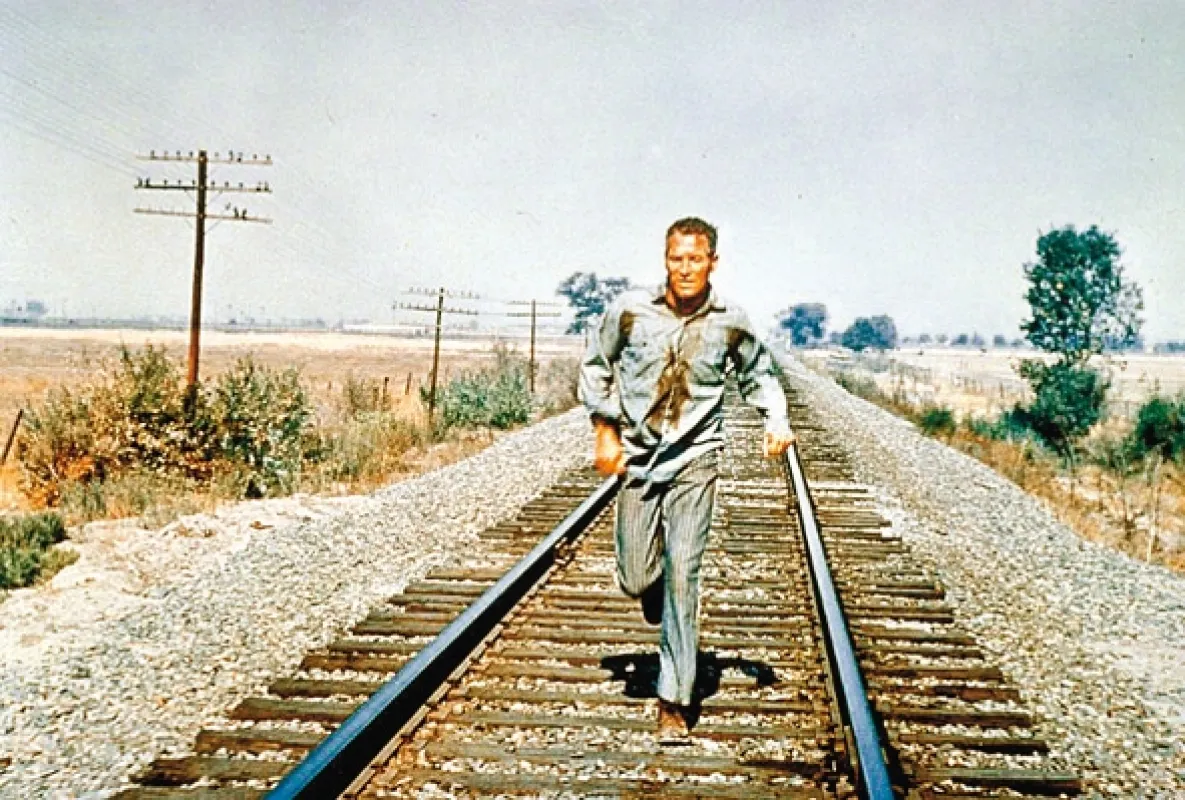 Frajer Luke (Cool Hand Luke), 1967 - fotogaléria