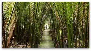 Bangkok, město zrozené z vody