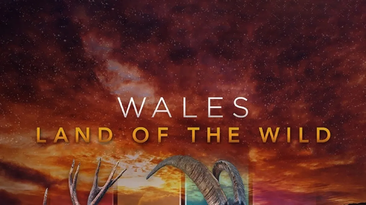 Příroda Walesu - fotogaléria