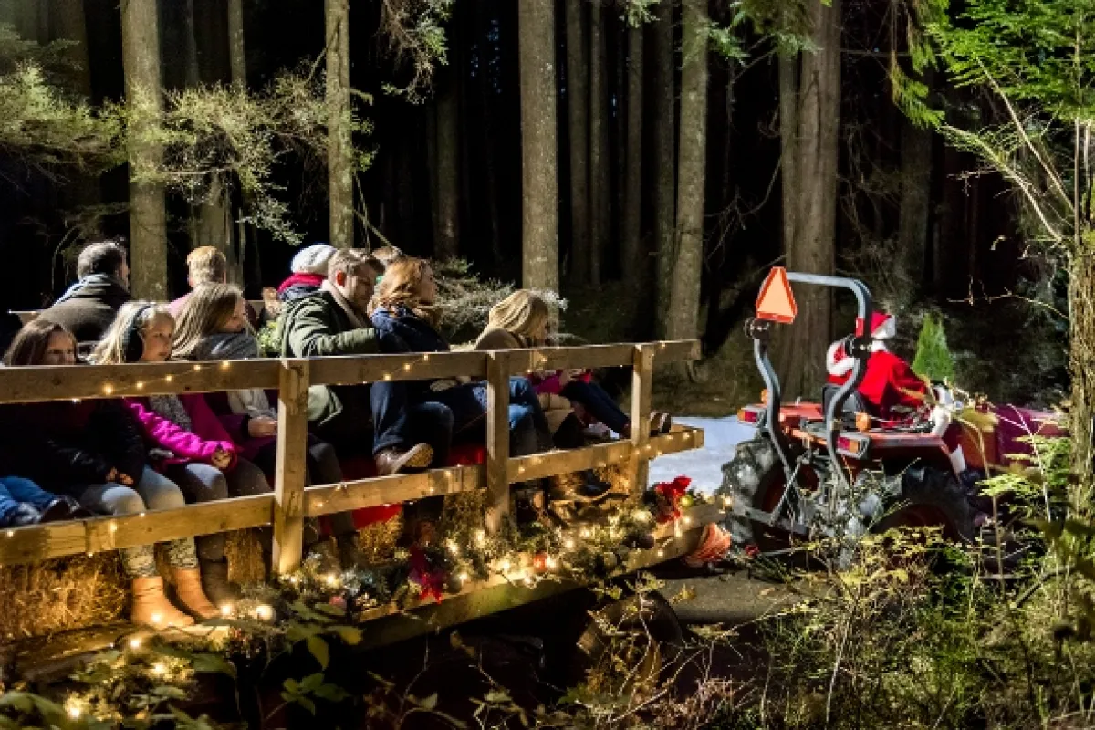 Vianoce pod jednou strechou (Christmas Getaway), 2017 - fotogaléria