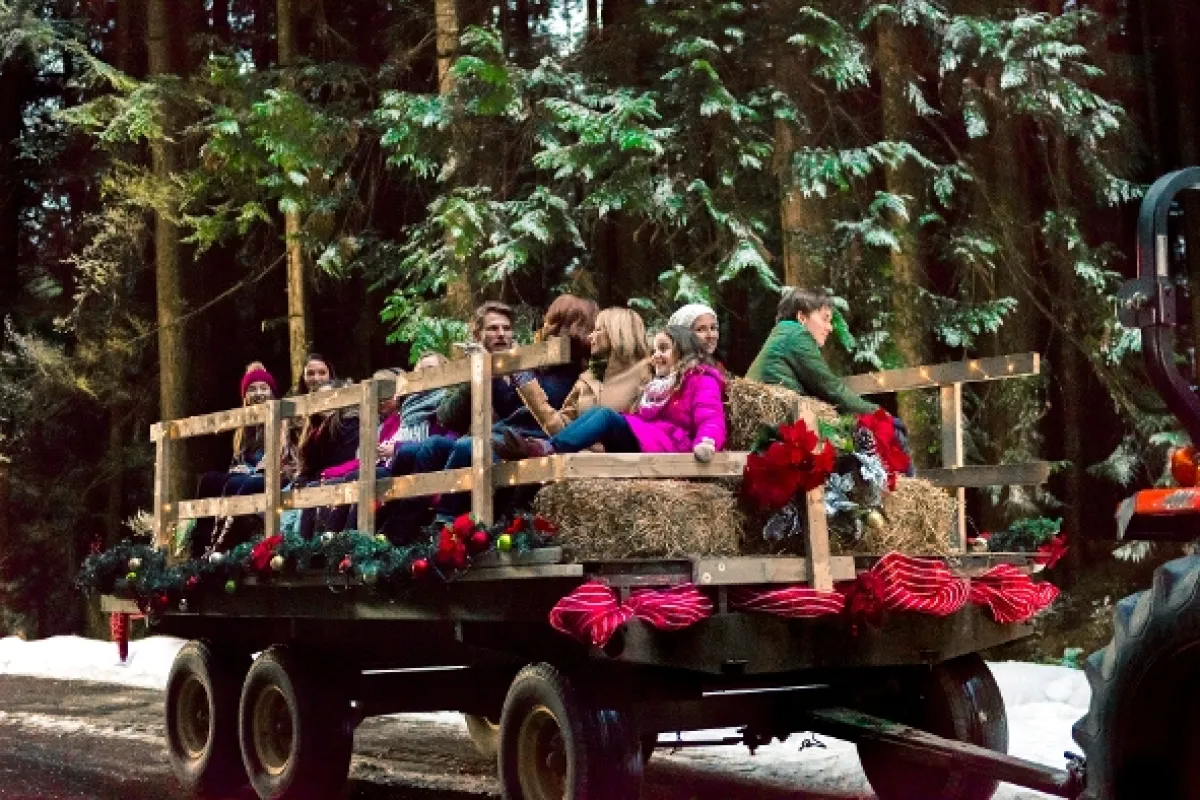 Vianoce pod jednou strechou (Christmas Getaway), 2017 - fotogaléria