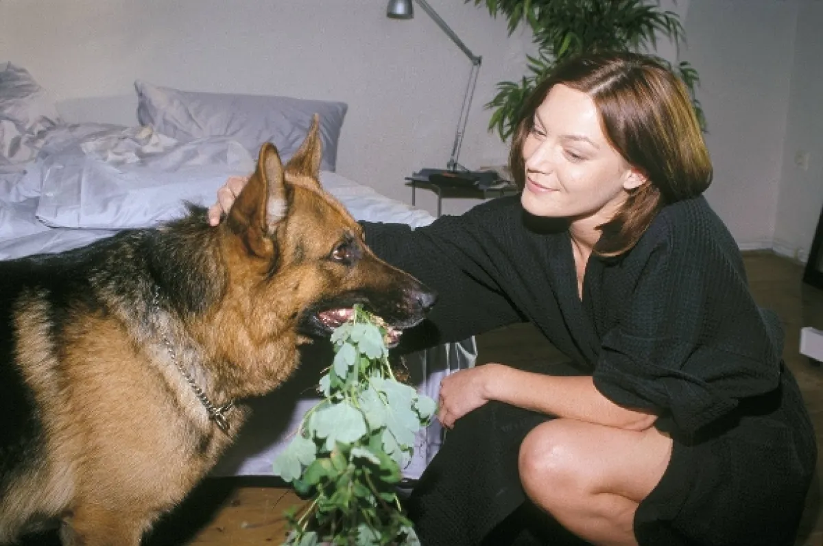 Rex felügyelő (Kommissar Rex V), 1999 - fotogaléria