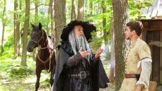 Korunný princ